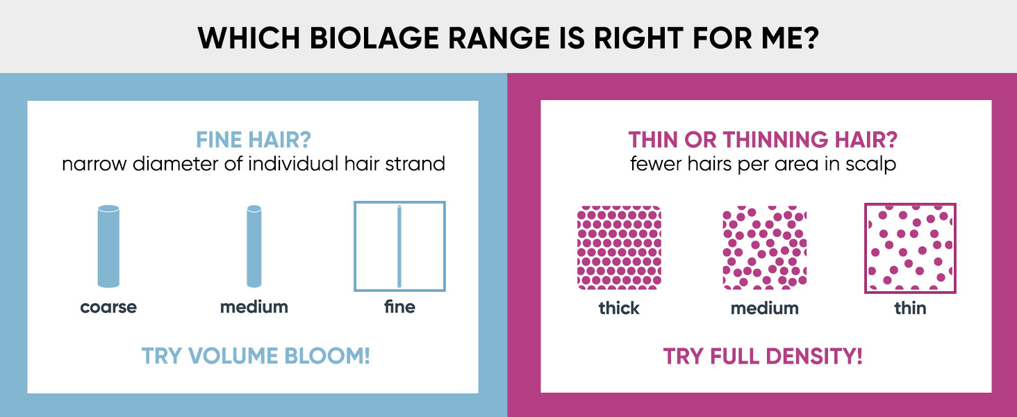 fine or thin hair
