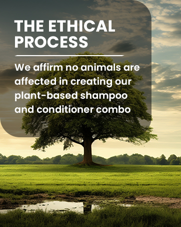 cruelty free shampoo & conditioner