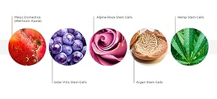 Fruit Stem Cell Science