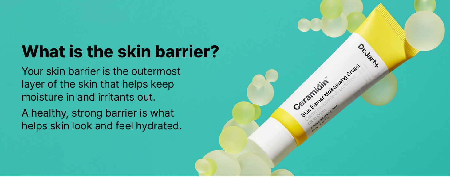 skin barrier