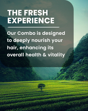 shampoo and conditioner set for nourish hair