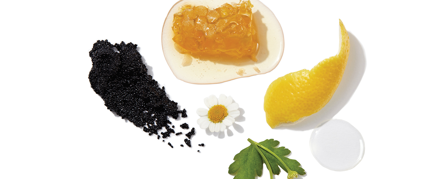 Alterna Pure Ingredients
